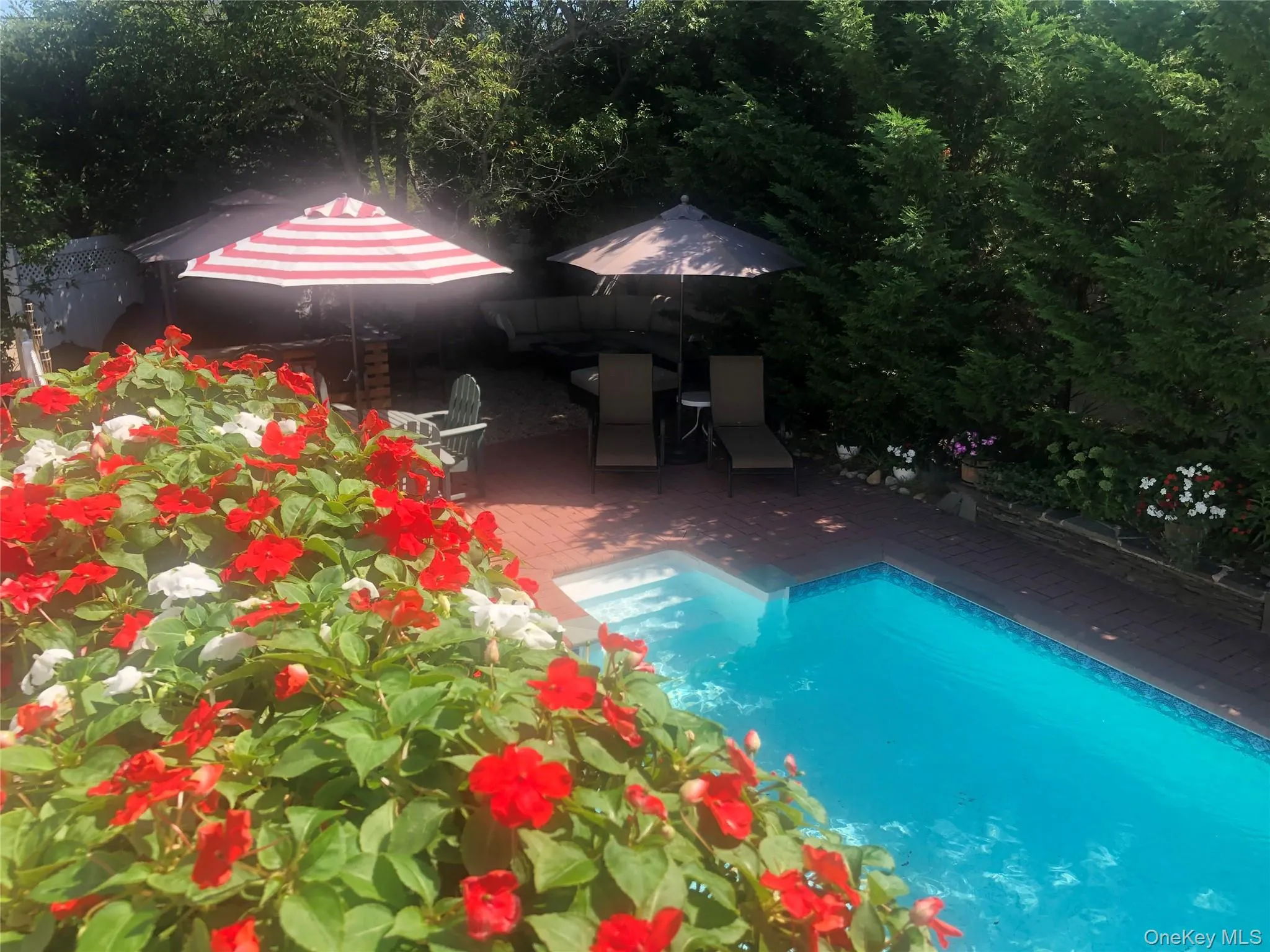 Outdoor pool featuring a patio area and outdoor dining area Outdoor pool featuring a patio area and outdoor dining area