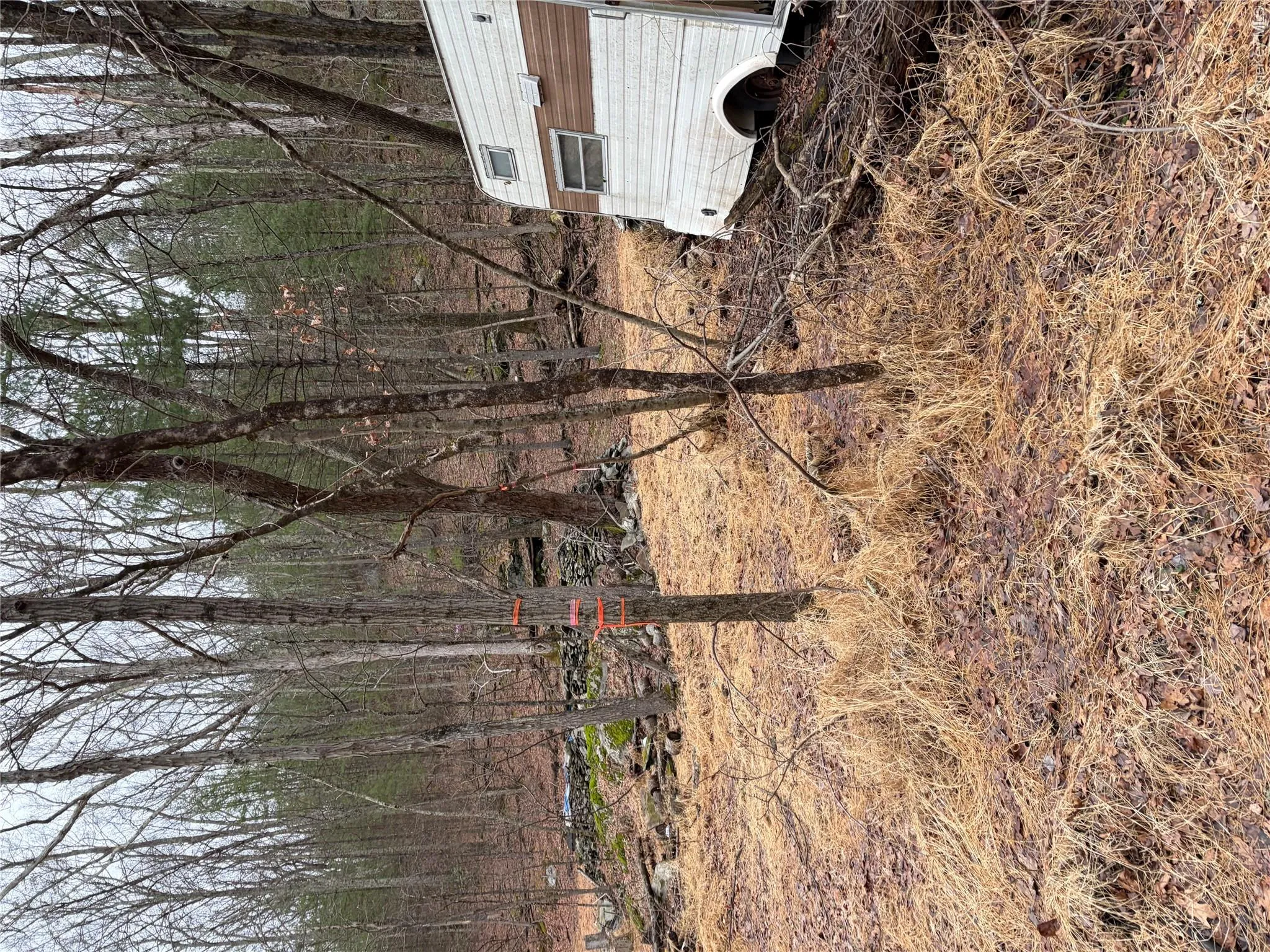 0 Red Hill Road, Mamakating, NY, ,Land,For Rent,0 Red Hill Road,0,947878 0 Red Hill Road, Mamakating, NY, ,Land,For Rent,0 Red Hill Road,0,947878