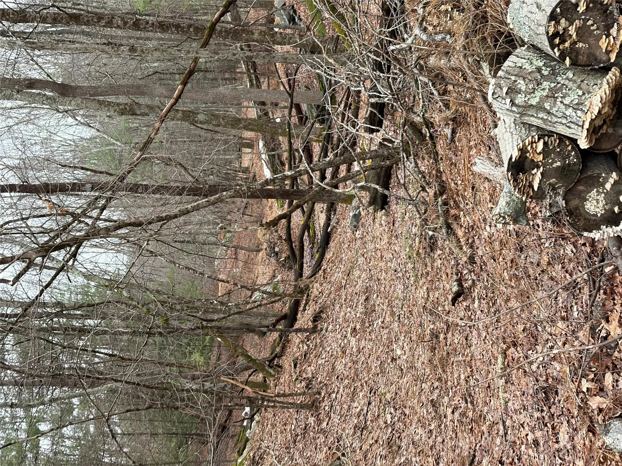 0 Red Hill Road, Mamakating, NY, ,Land,For Rent,0 Red Hill Road,0,947878 0 Red Hill Road, Mamakating, NY, ,Land,For Rent,0 Red Hill Road,0,947878