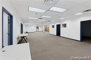 Empty room featuring a drop ceiling and light colored carpet Empty room featuring a drop ceiling and light colored carpet