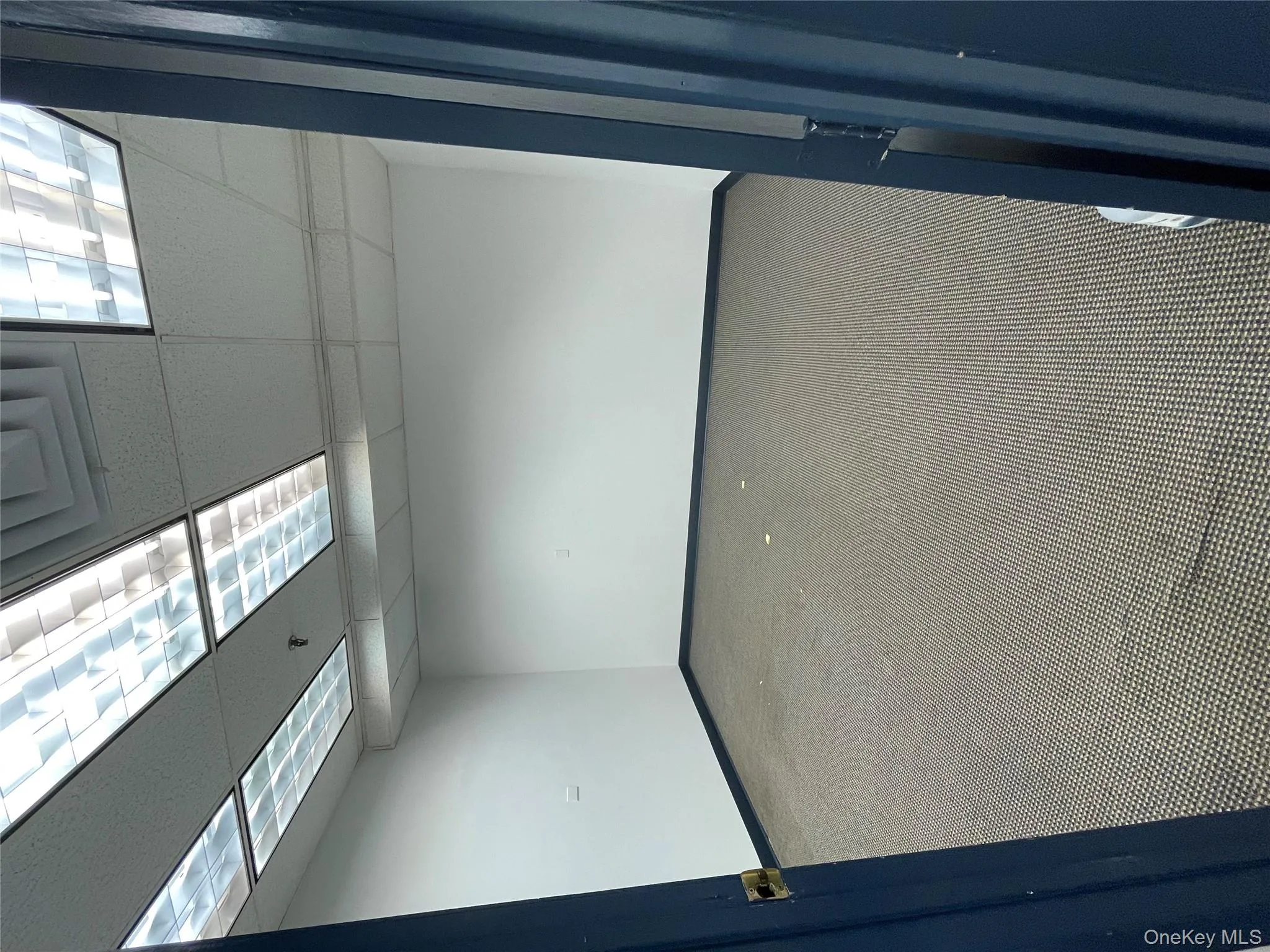 Empty room featuring a paneled ceiling and carpet Empty room featuring a paneled ceiling and carpet