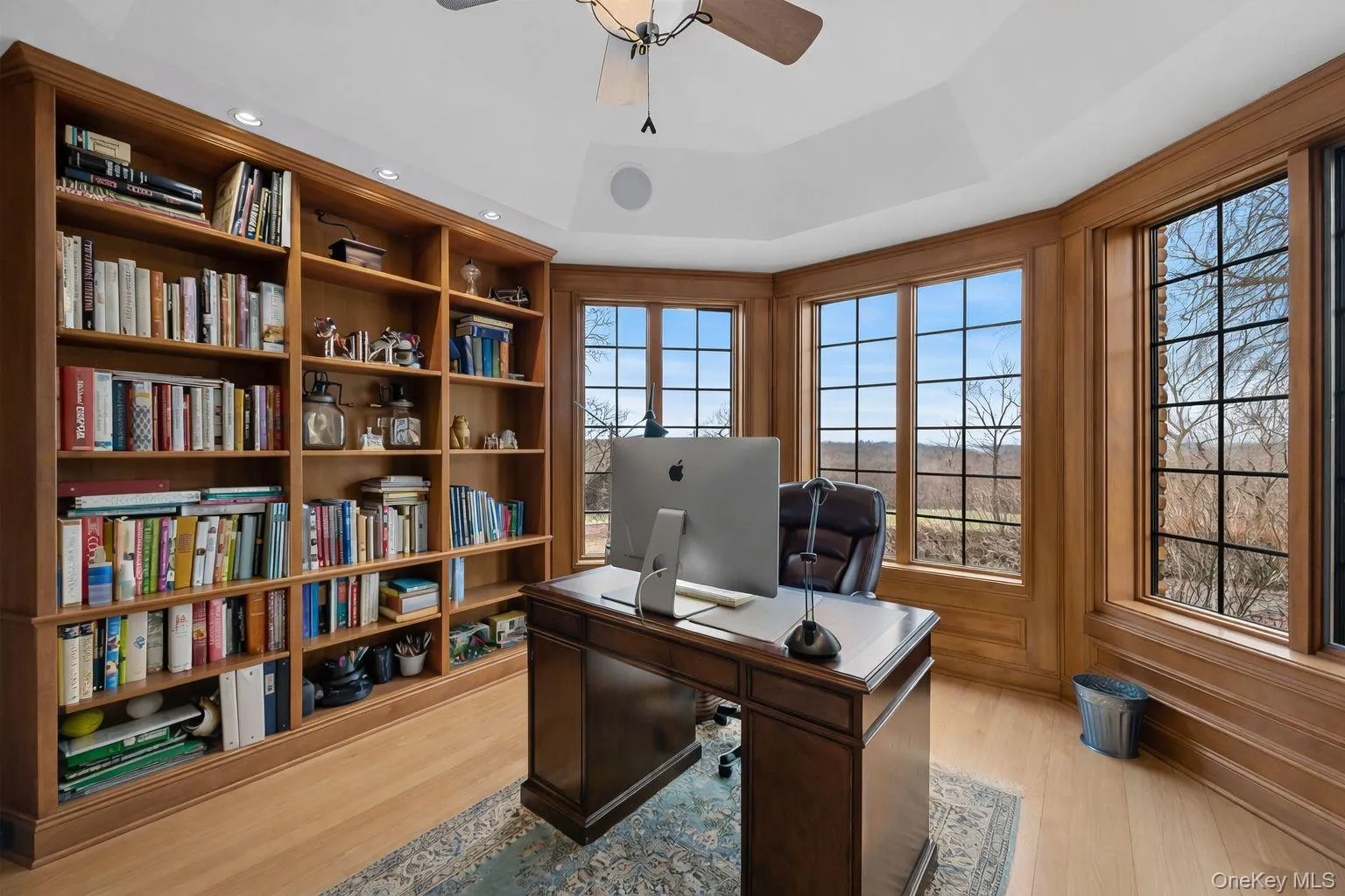 Office with stunning light and built-ins Office with stunning light and built-ins