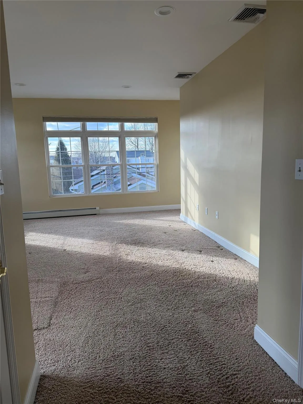 Carpeted spare room featuring plenty of natural light and a baseboard radiator Carpeted spare room featuring plenty of natural light and a baseboard radiator