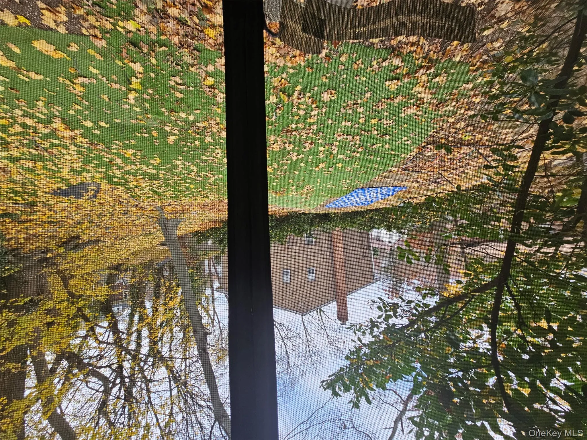 View of green lawn View of green lawn