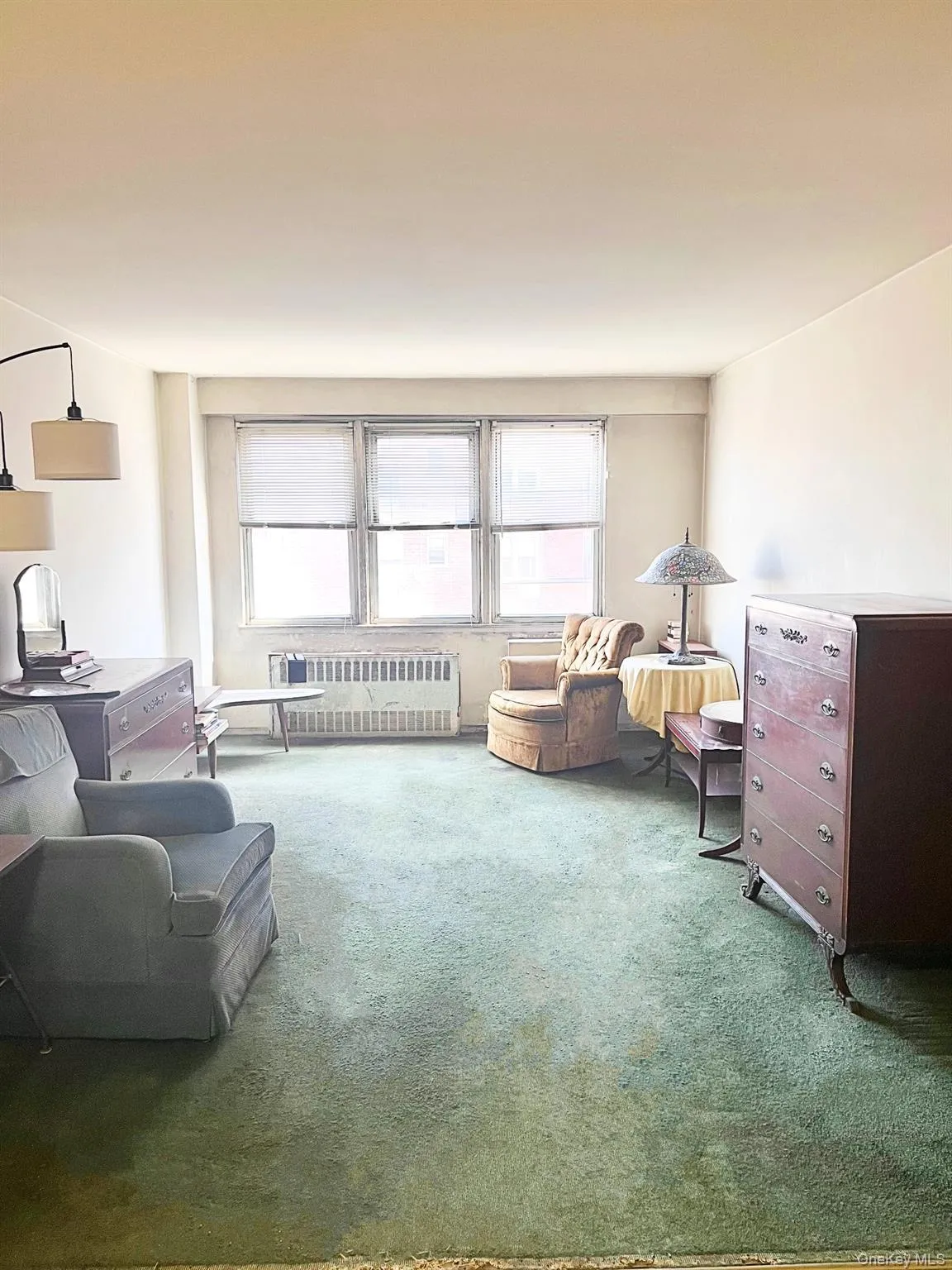 Living room with carpet, plenty of natural light, and radiator Living room with carpet, plenty of natural light, and radiator
