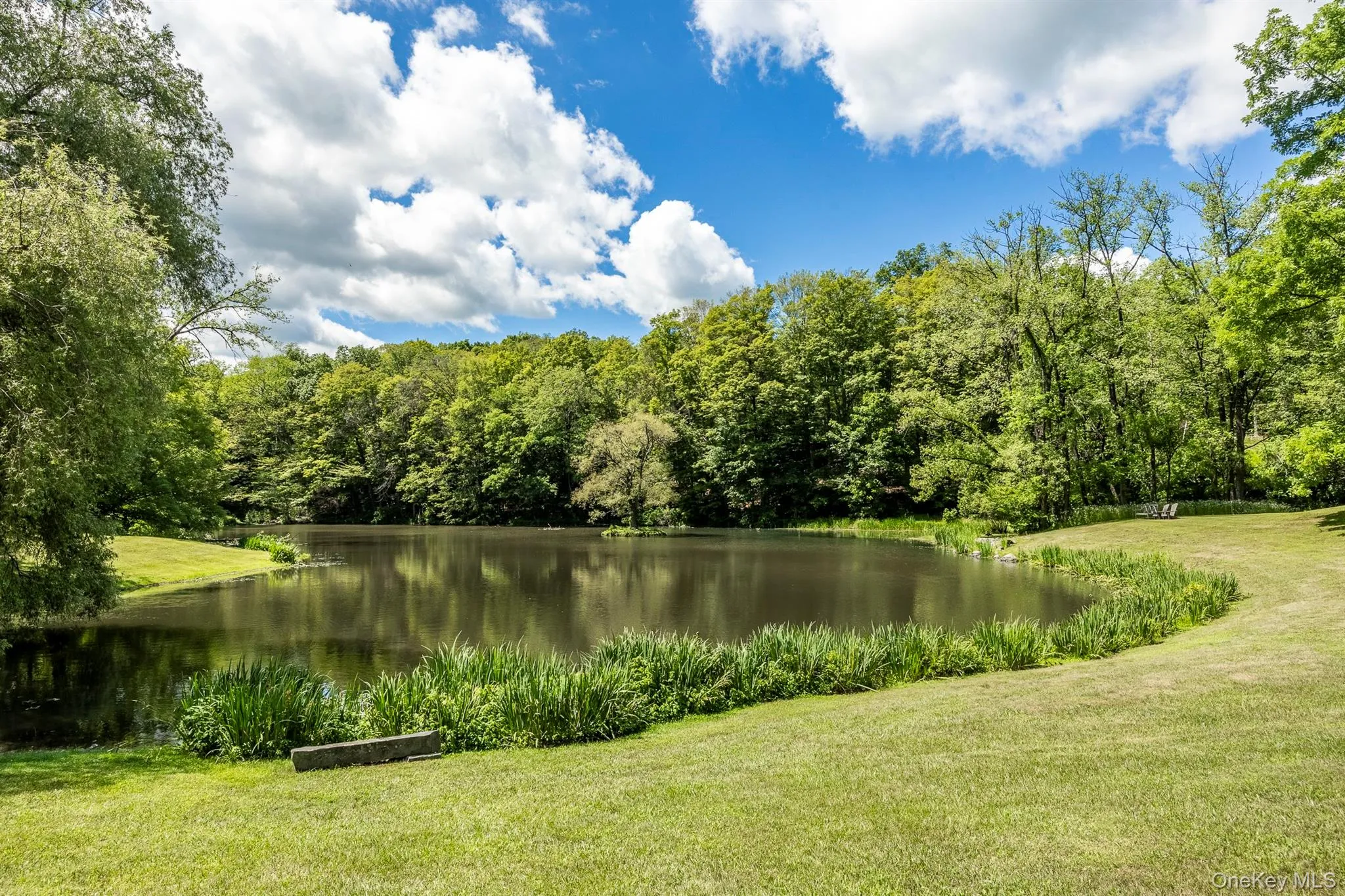 176 Schoolhouse Road, Clinton, NY, 5 Bedrooms Bedrooms, 21 Rooms Rooms,6 BathroomsBathrooms,Residential Lease,For Rent,Schoolhouse,0,948154 176 Schoolhouse Road, Clinton, NY, 5 Bedrooms Bedrooms, 21 Rooms Rooms,6 BathroomsBathrooms,Residential Lease,For Rent,Schoolhouse,0,948154