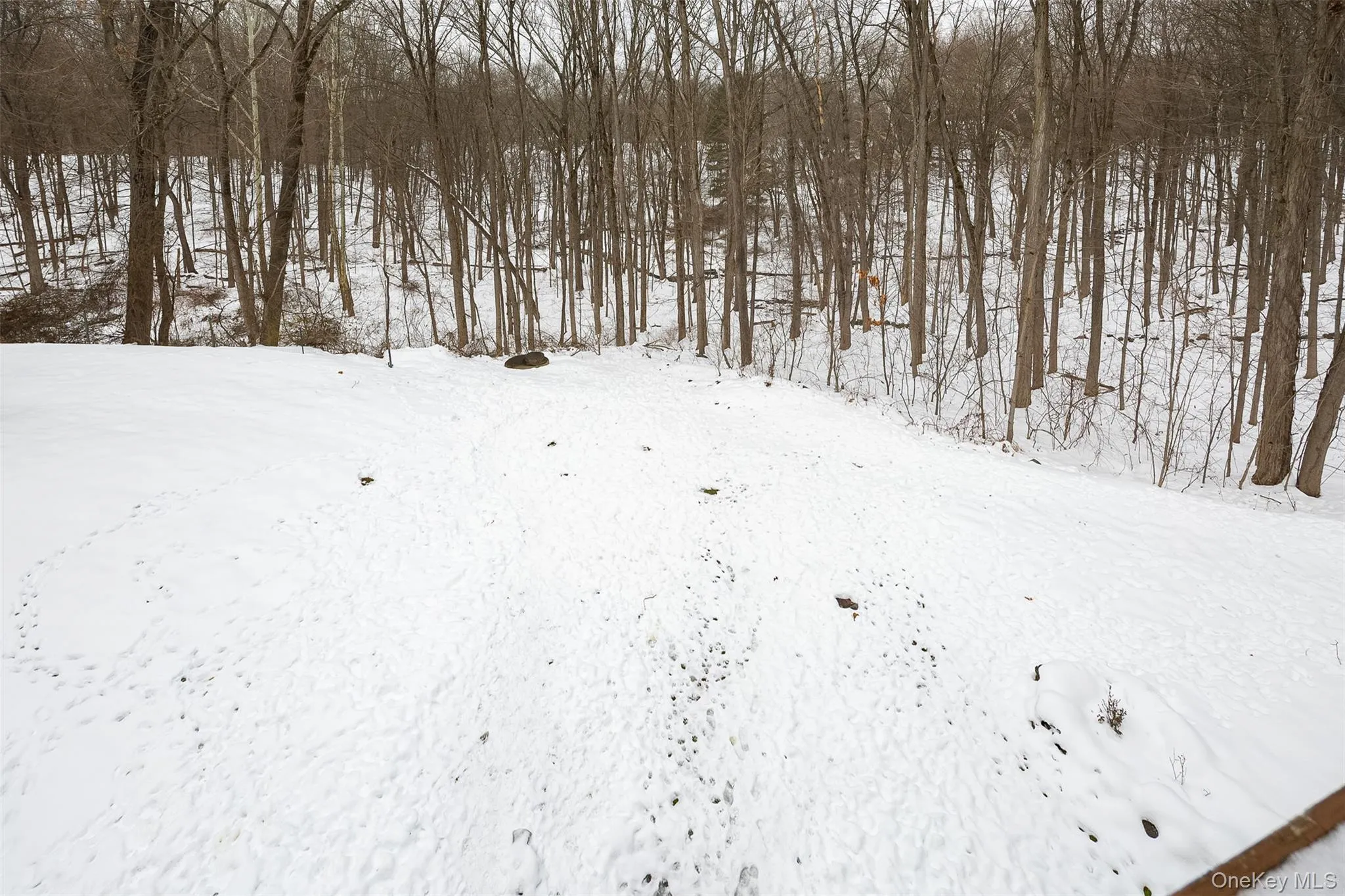 View of back yard View of back yard