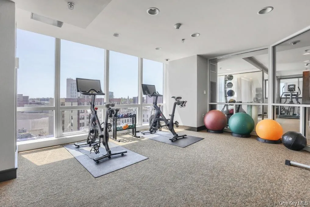 1 Renaissance Square, White Plains, NY, 1 Bedroom Bedrooms, 3 Rooms Rooms,1 BathroomBathrooms,Residential,For Rent,Renaissance Square,0,948249 1 Renaissance Square, White Plains, NY, 1 Bedroom Bedrooms, 3 Rooms Rooms,1 BathroomBathrooms,Residential,For Rent,Renaissance Square,0,948249