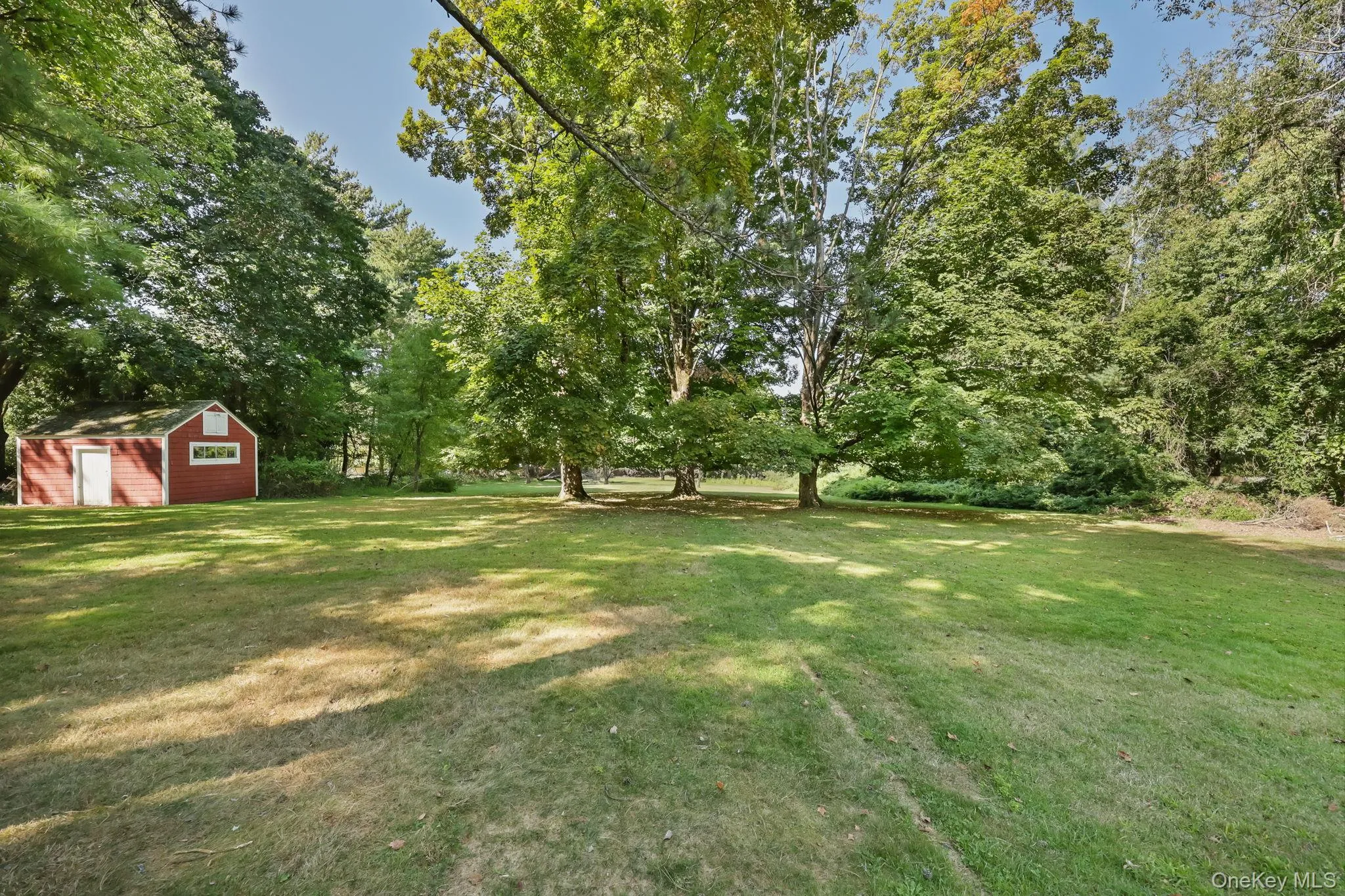 View of green lawn featuring a storage unit and view of scattered trees View of green lawn featuring a storage unit and view of scattered trees