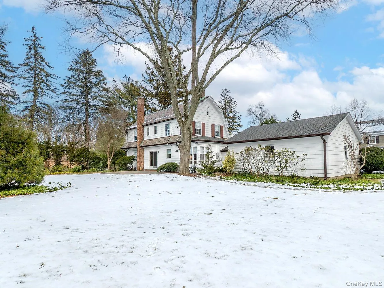 Flat Spacious Back Yard Flat Spacious Back Yard