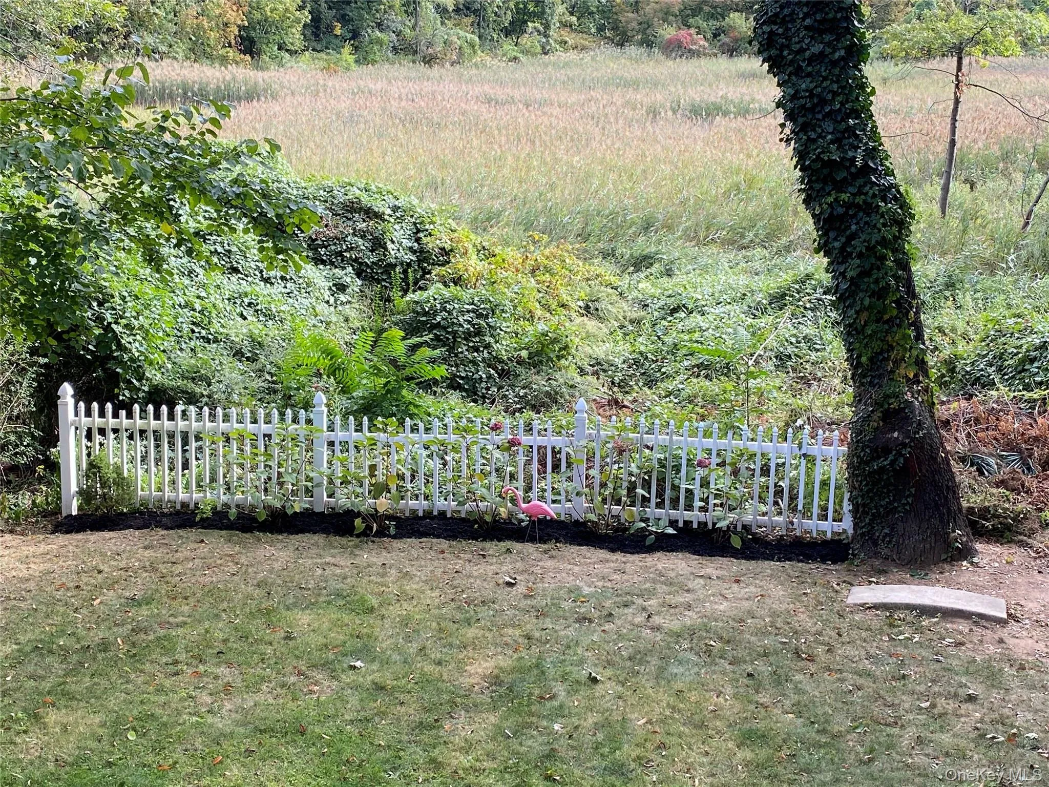 Representative Spring view from the deck, photo shared by the immediate neighbor. Representative Spring view from the deck, photo shared by the immediate neighbor.