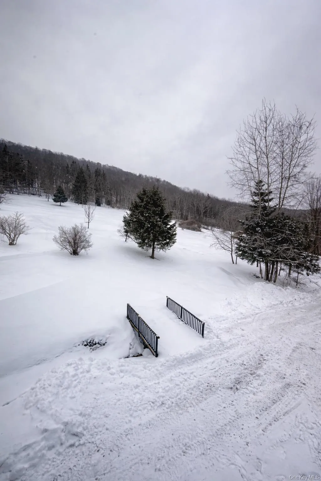 View of property's community with a view of trees View of property's community with a view of trees