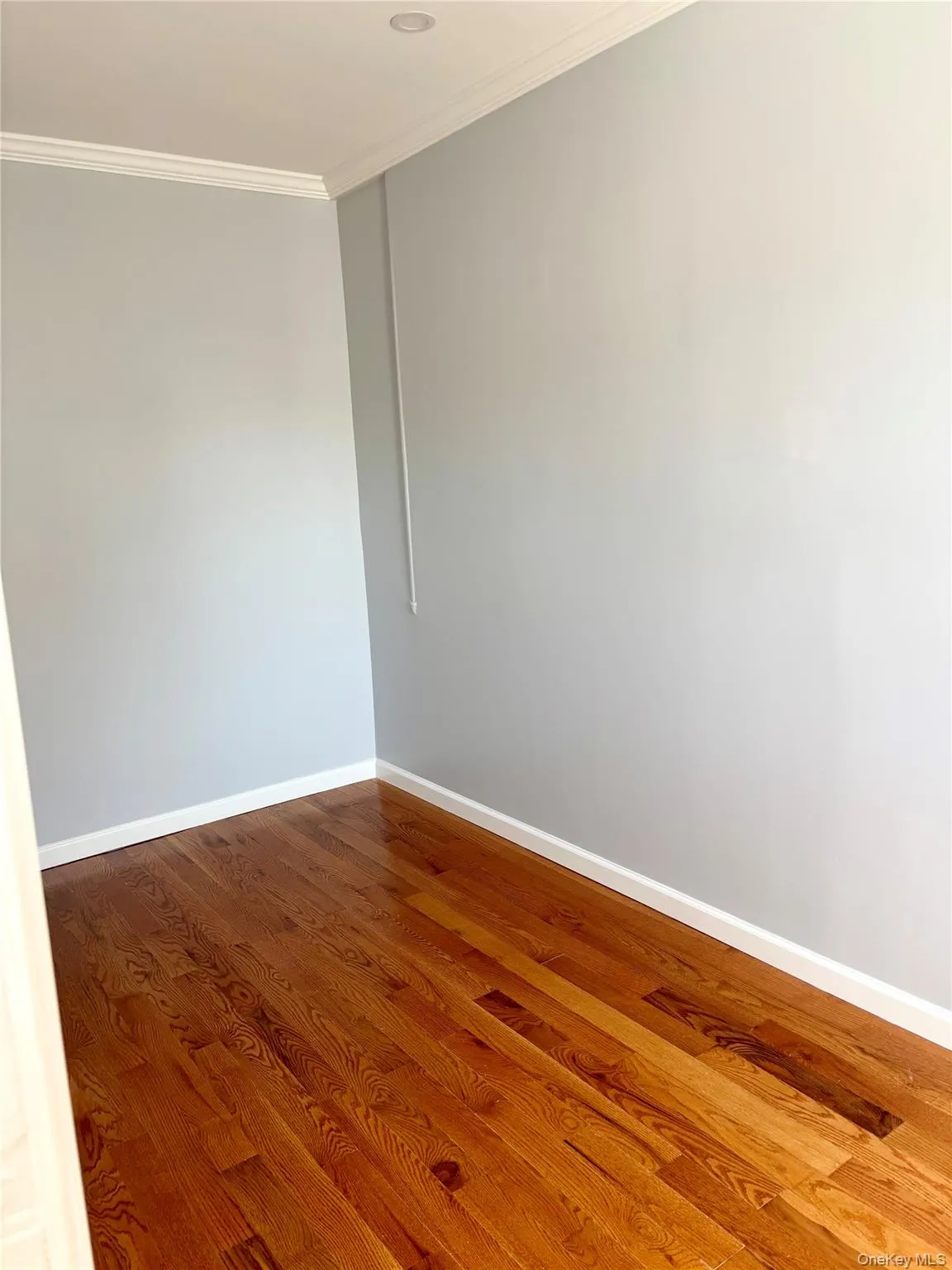 Spare room featuring dark wood-style floors and crown molding Spare room featuring dark wood-style floors and crown molding