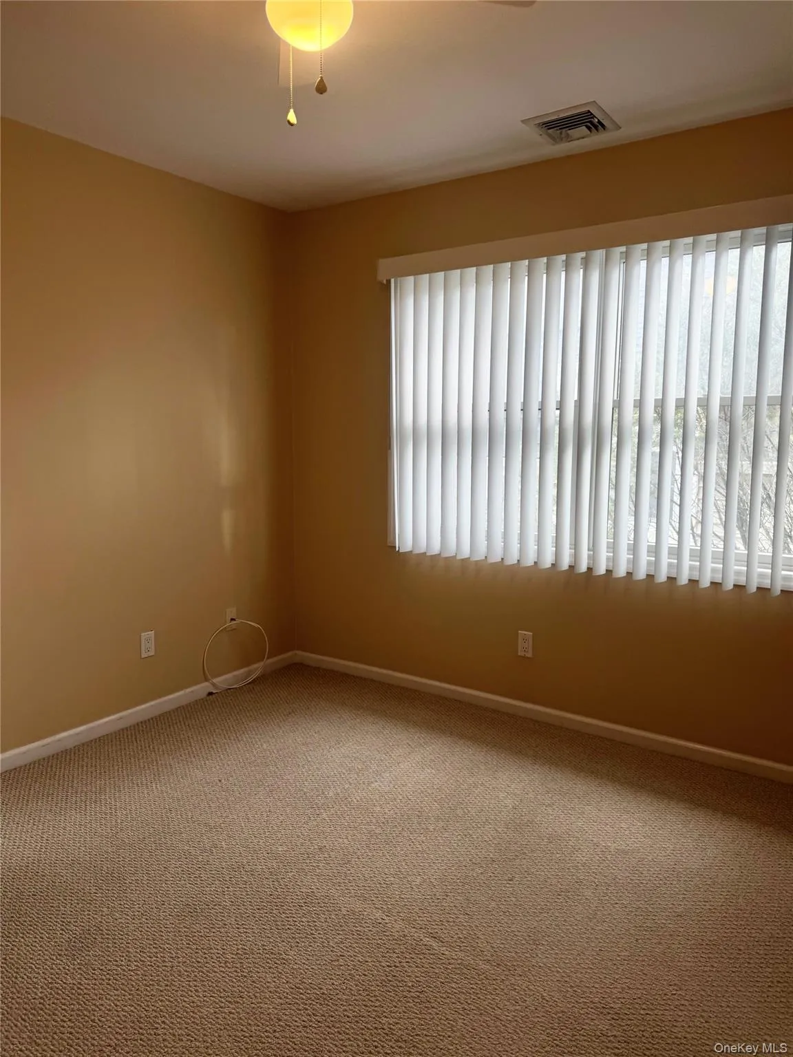 Carpeted spare room featuring baseboards Carpeted spare room featuring baseboards