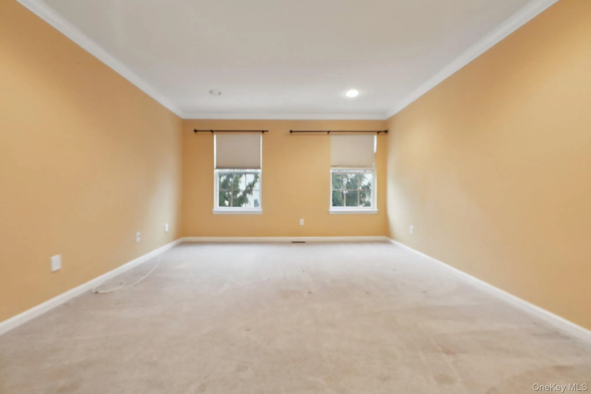 Unfurnished room with ornamental molding, carpet, and recessed lighting Unfurnished room with ornamental molding, carpet, and recessed lighting