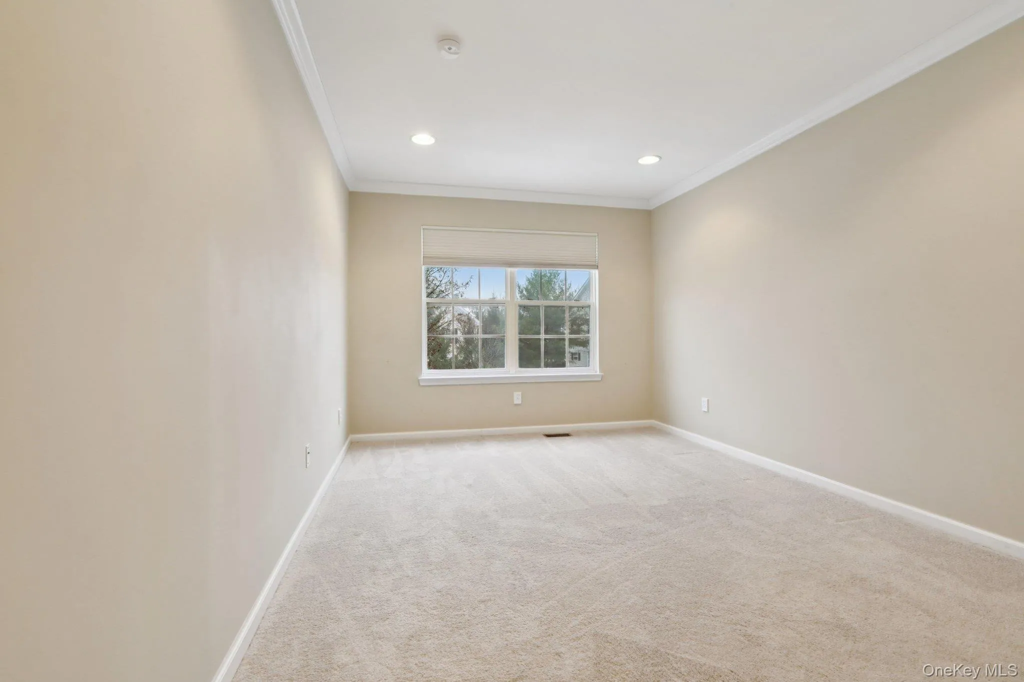 Empty room featuring light colored carpet, crown molding, and recessed lighting Empty room featuring light colored carpet, crown molding, and recessed lighting