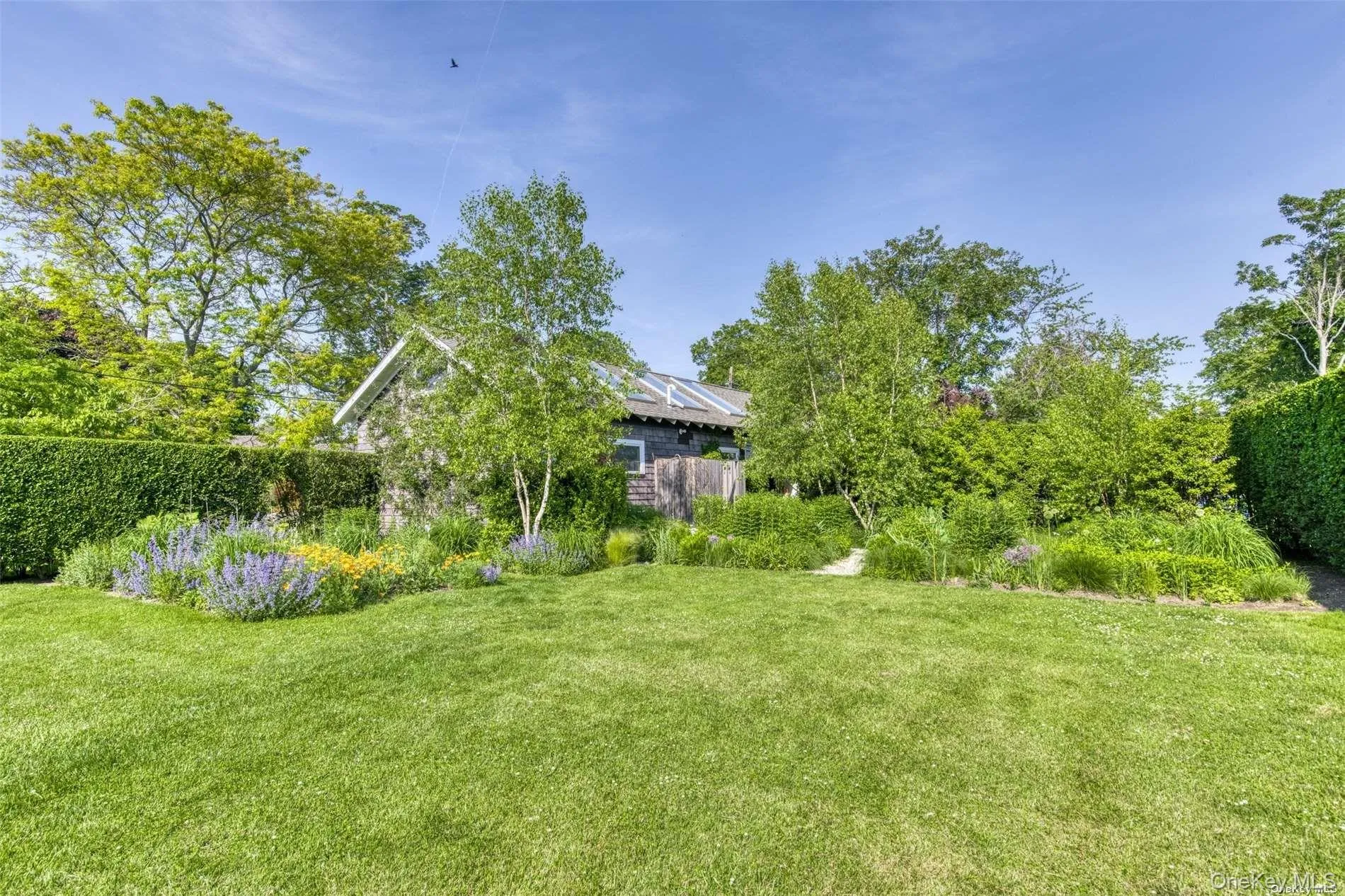 backyard backyard