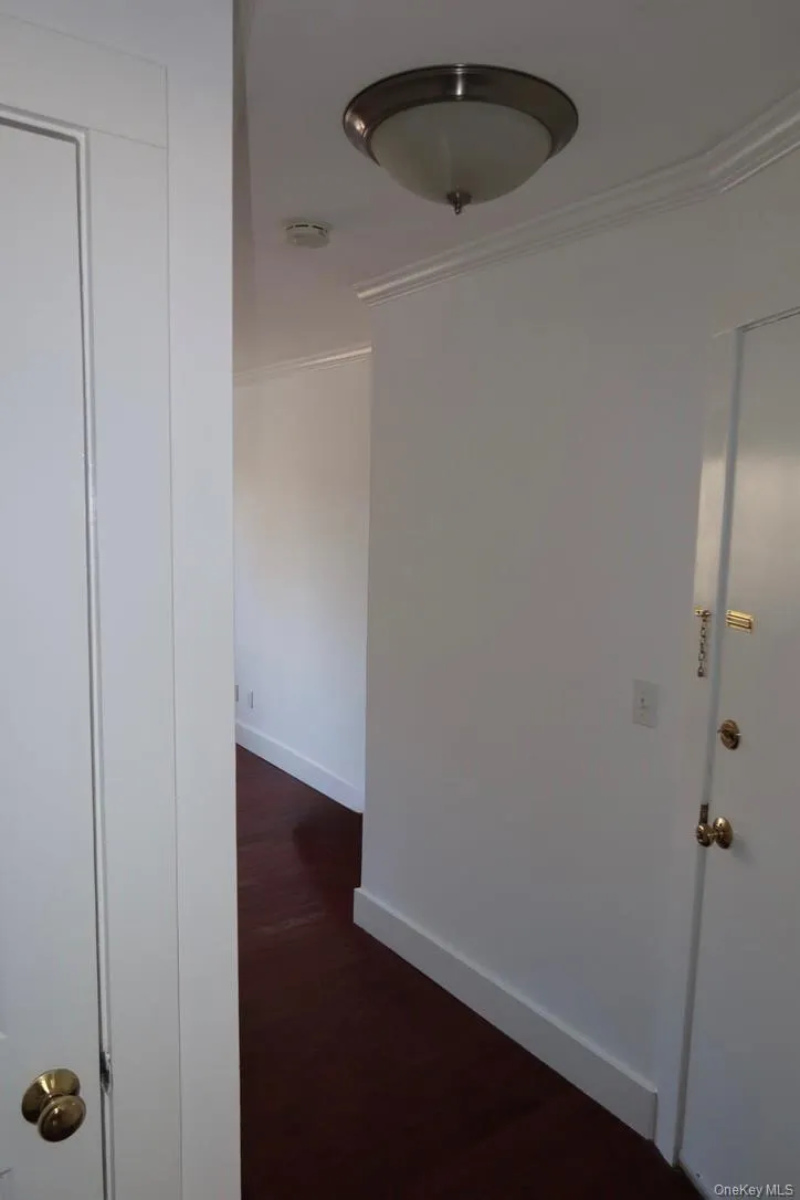 Hall featuring ornamental molding and dark wood-type flooring Hall featuring ornamental molding and dark wood-type flooring