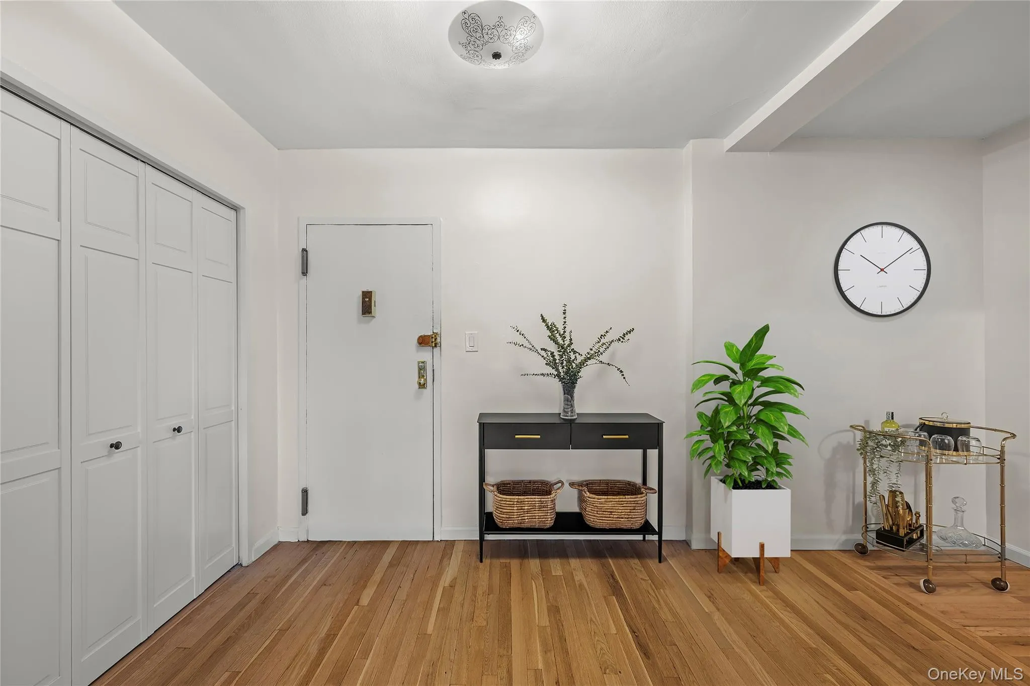 Entrance foyer with light wood-style floors and baseboards Entrance foyer with light wood-style floors and baseboards