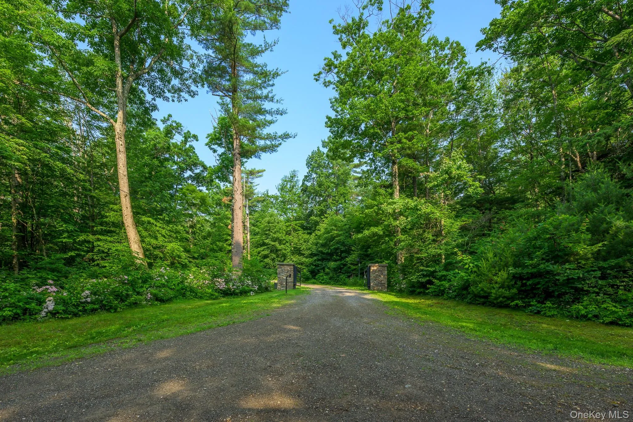 View of dirt / gravel road featuring a wooded view View of dirt / gravel road featuring a wooded view
