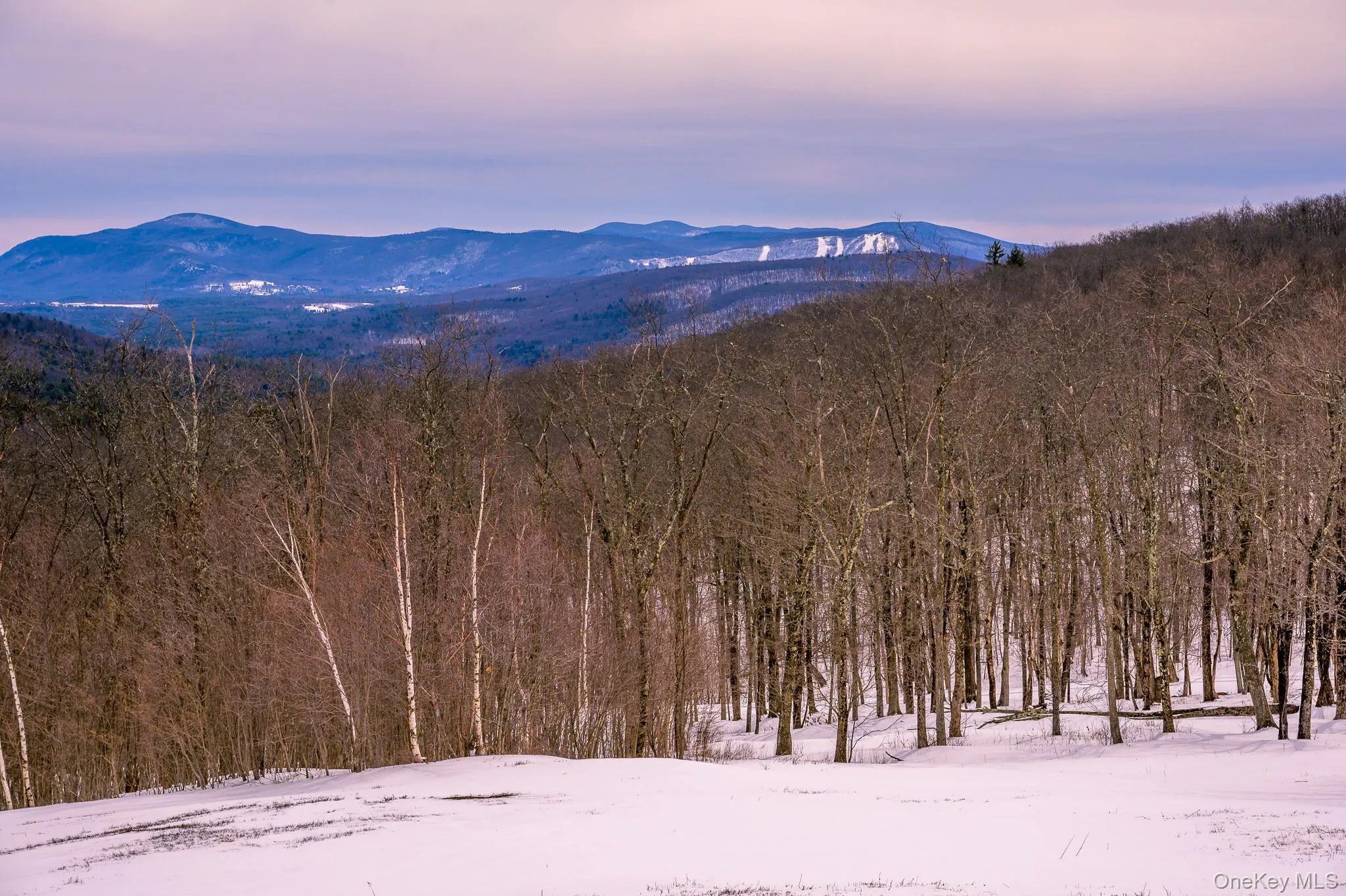 View of mountain background with a forest View of mountain background with a forest