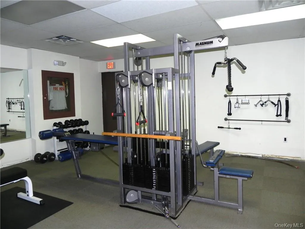 1250 North Avenue, New Rochelle, NY, 1 Bedroom Bedrooms, 3 Rooms Rooms,1 BathroomBathrooms,Residential Lease,Idx,North,0,948773 1250 North Avenue, New Rochelle, NY, 1 Bedroom Bedrooms, 3 Rooms Rooms,1 BathroomBathrooms,Residential Lease,Idx,North,0,948773