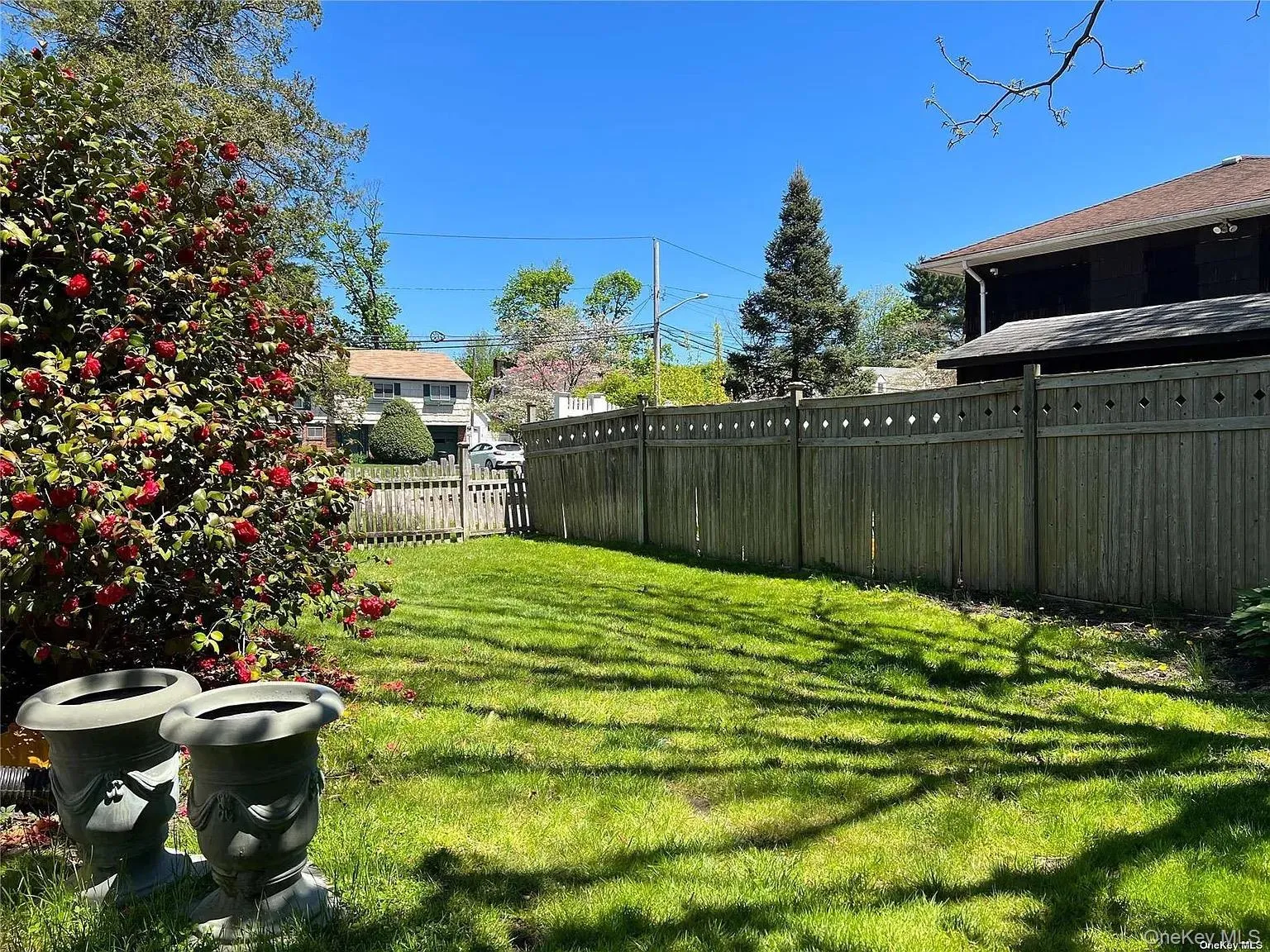 View of yard View of yard