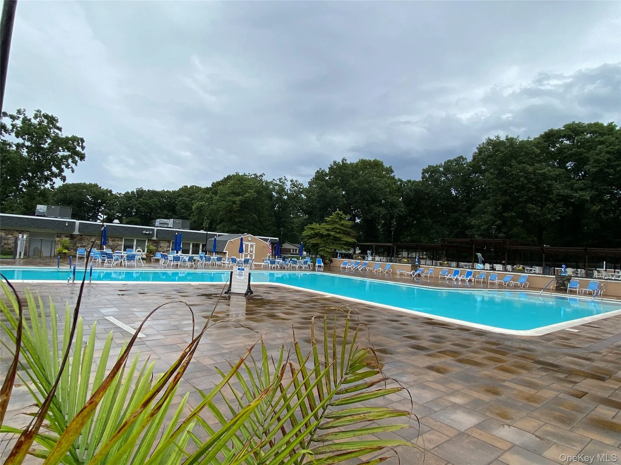Club House and Large Swimming pool Club House and Large Swimming pool