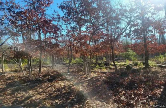 View of undeveloped land