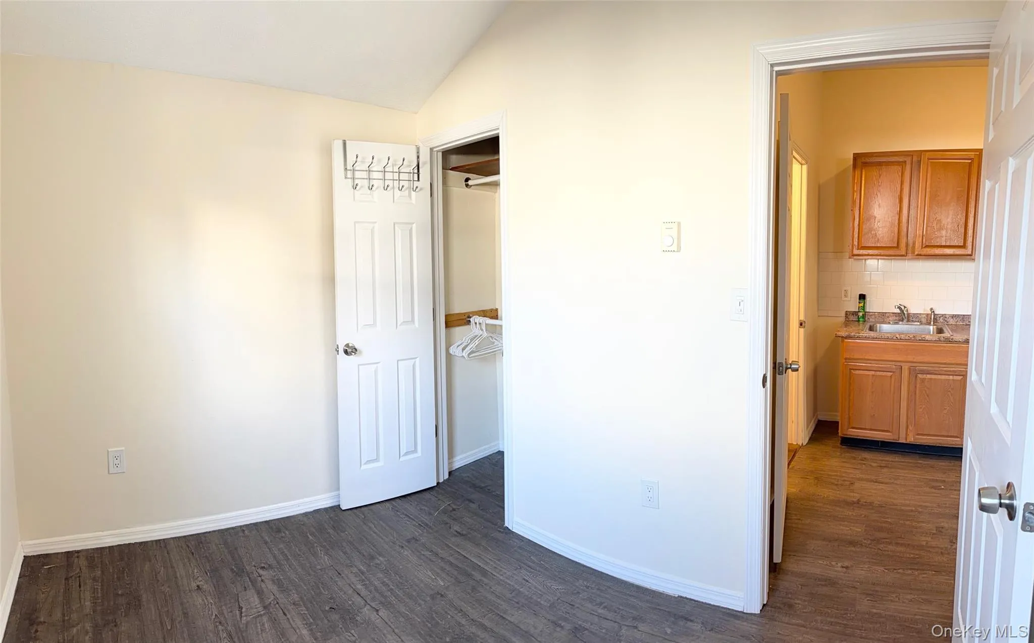 Unfurnished bedroom featuring dark wood-type flooring, a spacious closet, and lofted ceiling Unfurnished bedroom featuring dark wood-type flooring, a spacious closet, and lofted ceiling