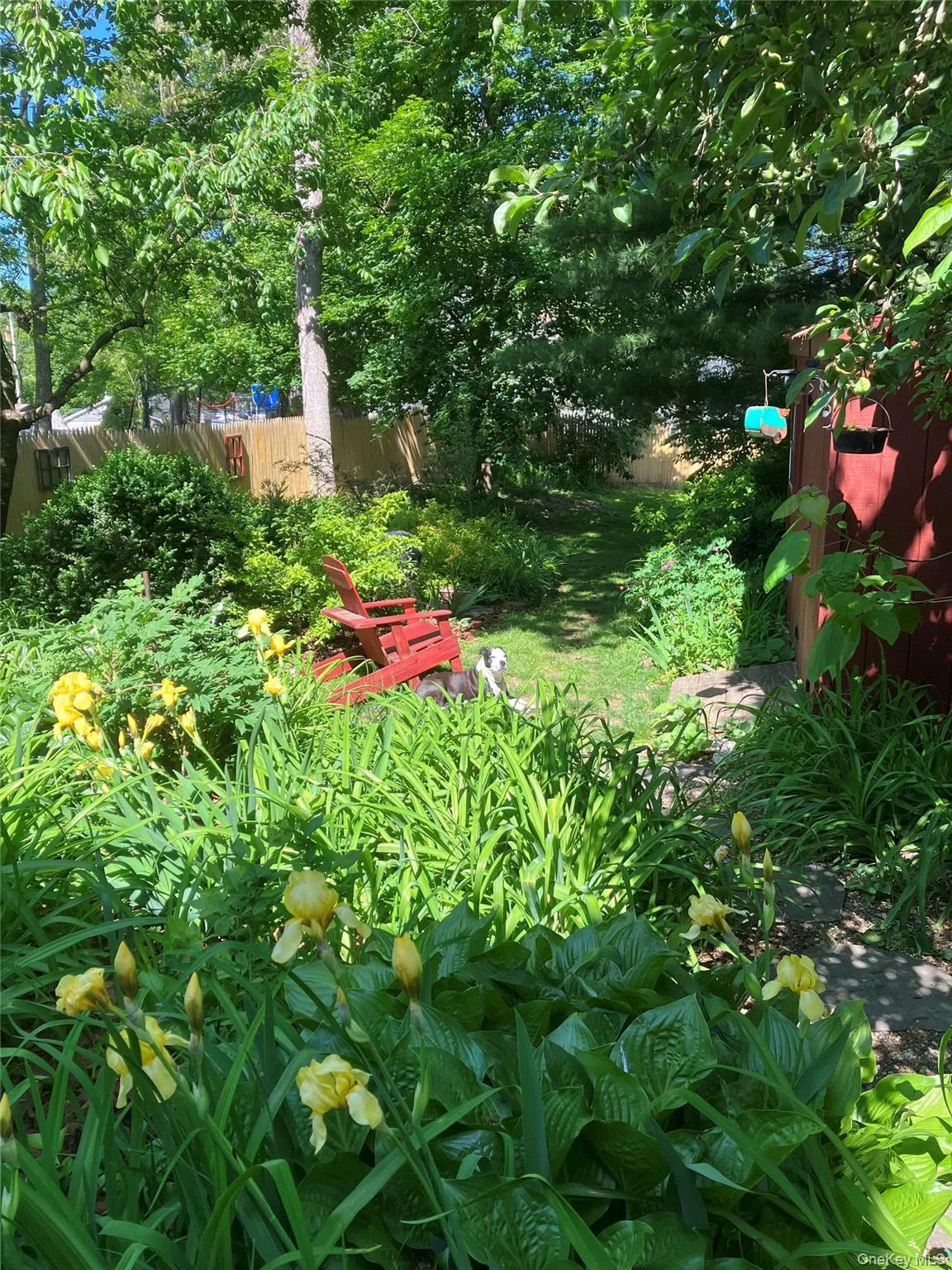 Back yard. Back yard.