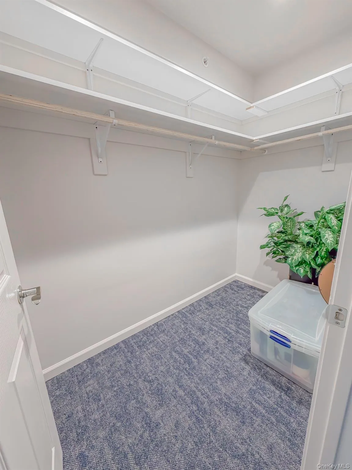 Spacious closet with dark carpet Spacious closet with dark carpet