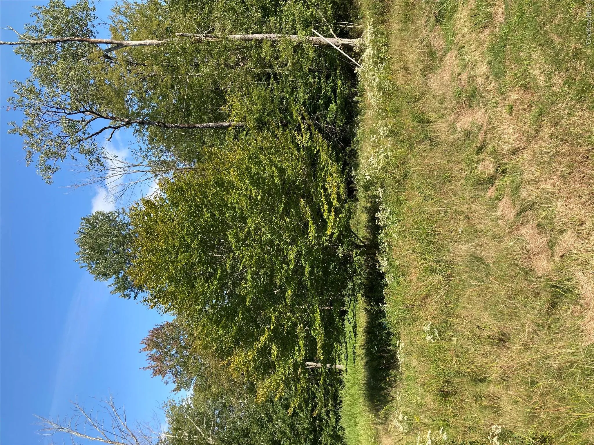 699 Budd Road, Fallsburg, NY, 4 Bedrooms Bedrooms, 8 Rooms Rooms,3 BathroomsBathrooms,Residential,For Rent,Budd,0,948974 699 Budd Road, Fallsburg, NY, 4 Bedrooms Bedrooms, 8 Rooms Rooms,3 BathroomsBathrooms,Residential,For Rent,Budd,0,948974