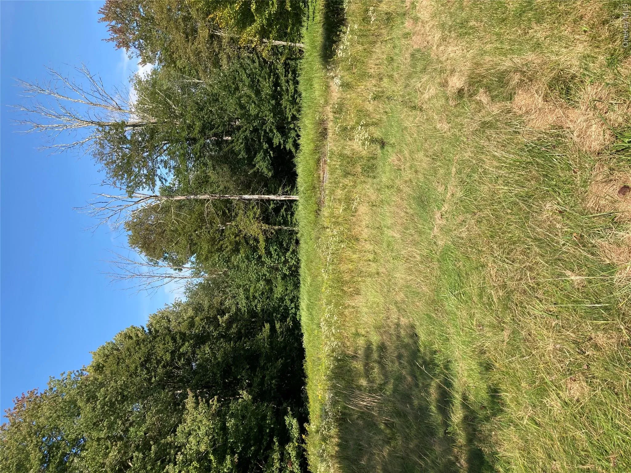 699 Budd Road, Fallsburg, NY, 4 Bedrooms Bedrooms, 8 Rooms Rooms,3 BathroomsBathrooms,Residential,For Rent,Budd,0,948974 699 Budd Road, Fallsburg, NY, 4 Bedrooms Bedrooms, 8 Rooms Rooms,3 BathroomsBathrooms,Residential,For Rent,Budd,0,948974