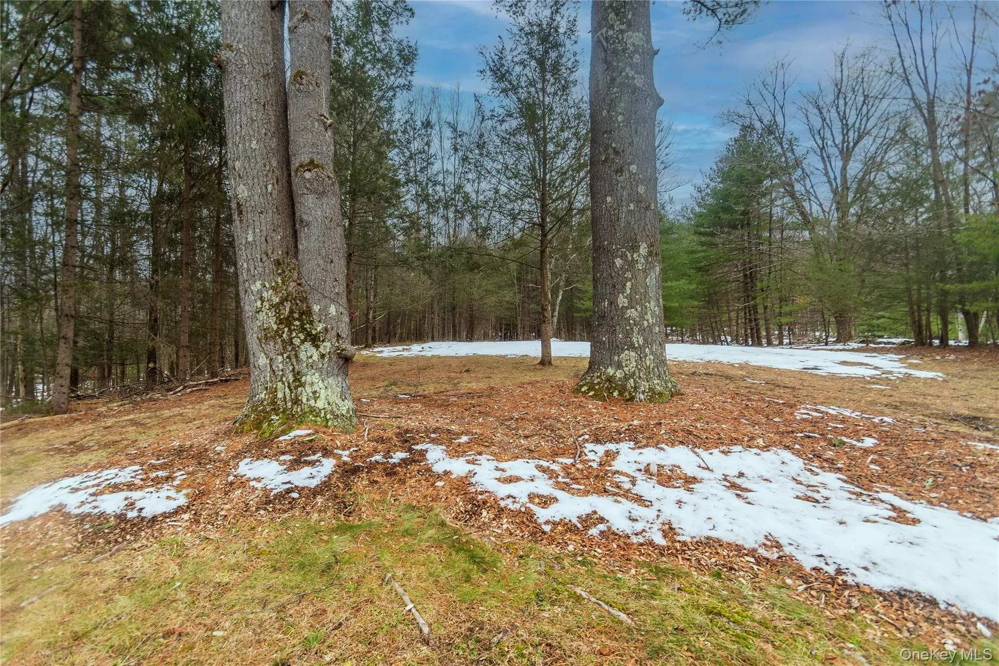 183 Mill Road, Olive, NY, 2 Bedrooms Bedrooms, 4 Rooms Rooms,1 BathroomBathrooms,Residential Sale,For Rent,Mill,0,949005 183 Mill Road, Olive, NY, 2 Bedrooms Bedrooms, 4 Rooms Rooms,1 BathroomBathrooms,Residential Sale,For Rent,Mill,0,949005