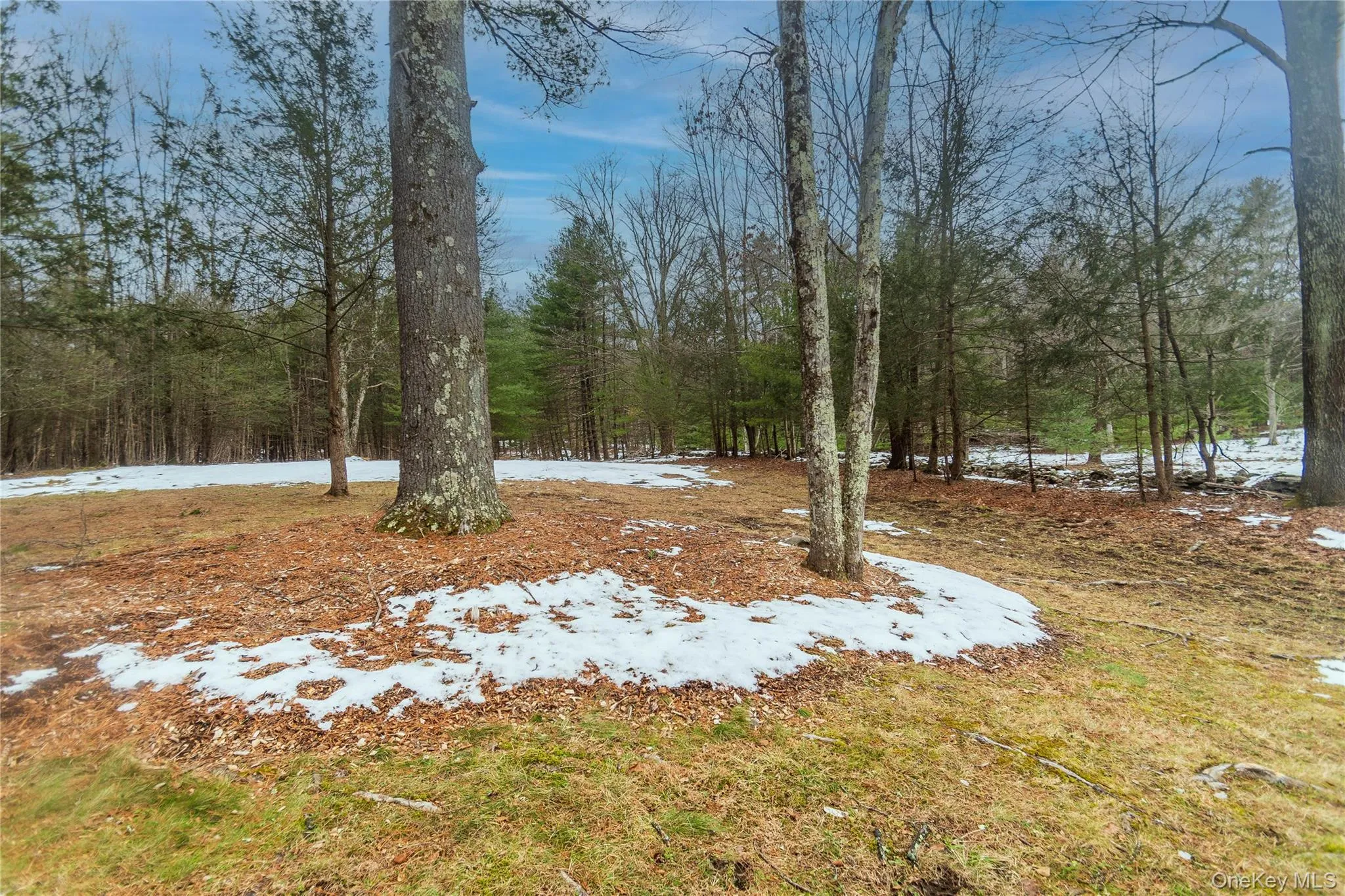 183 Mill Road, Olive, NY, 2 Bedrooms Bedrooms, 4 Rooms Rooms,1 BathroomBathrooms,Residential Sale,For Rent,Mill,0,949005 183 Mill Road, Olive, NY, 2 Bedrooms Bedrooms, 4 Rooms Rooms,1 BathroomBathrooms,Residential Sale,For Rent,Mill,0,949005