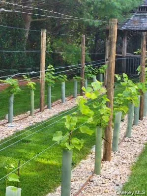 View of yard featuring a garden View of yard featuring a garden