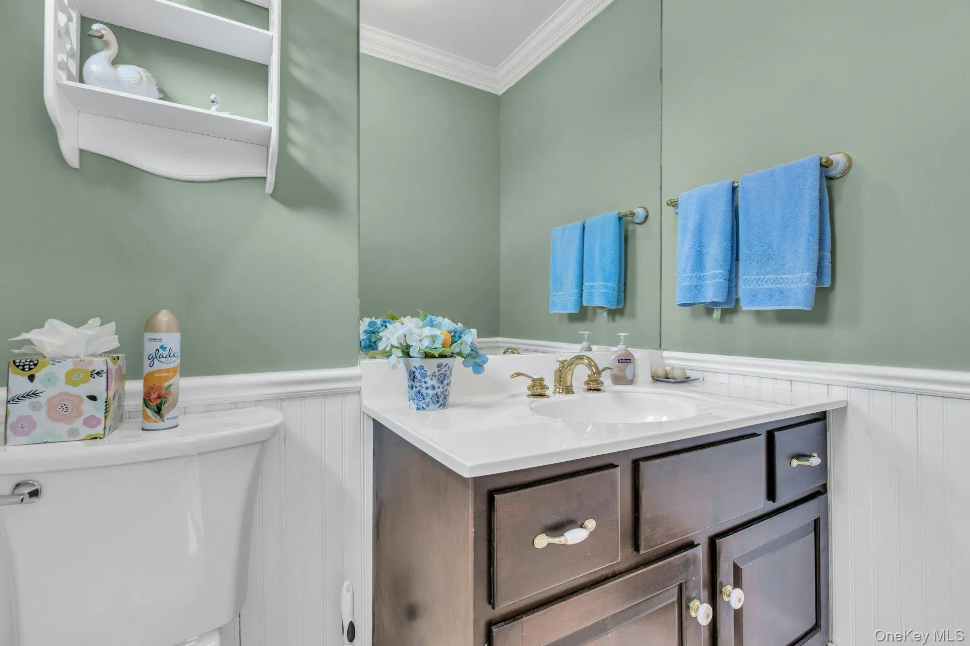 Bathroom featuring ornamental molding, a wainscoted wall, and vanity