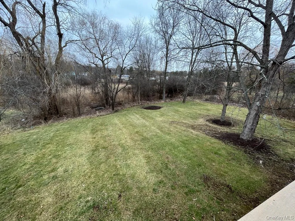 View of grassy yard View of grassy yard