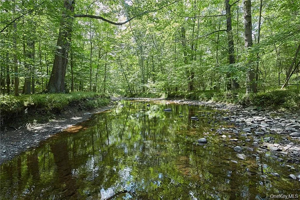 View of tree filled area featuring a water view View of tree filled area featuring a water view