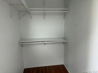 Walk in closet featuring dark wood-style flooring Walk in closet featuring dark wood-style flooring