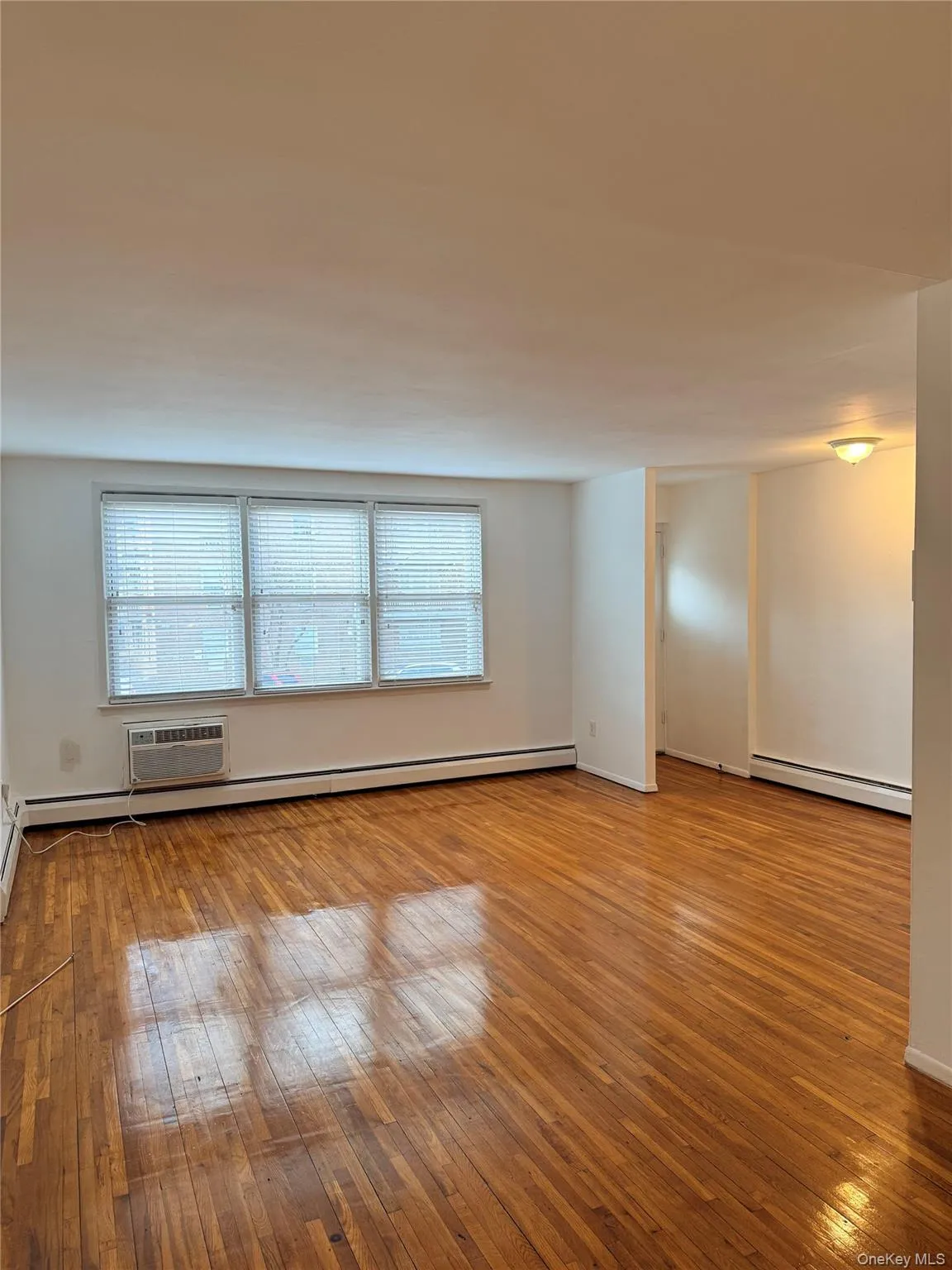 Empty room featuring a baseboard radiator and light wood finished floors Empty room featuring a baseboard radiator and light wood finished floors