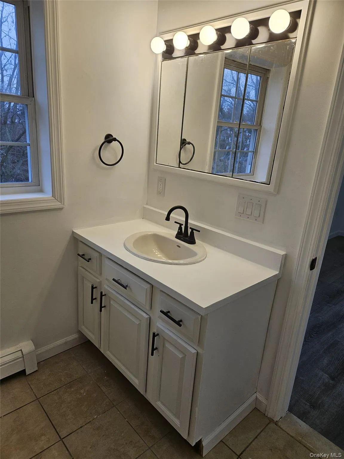 Bathroom featuring vanity, a baseboard heating unit, dark tile patterned flooring, and plenty of natural light Bathroom featuring vanity, a baseboard heating unit, dark tile patterned flooring, and plenty of natural light