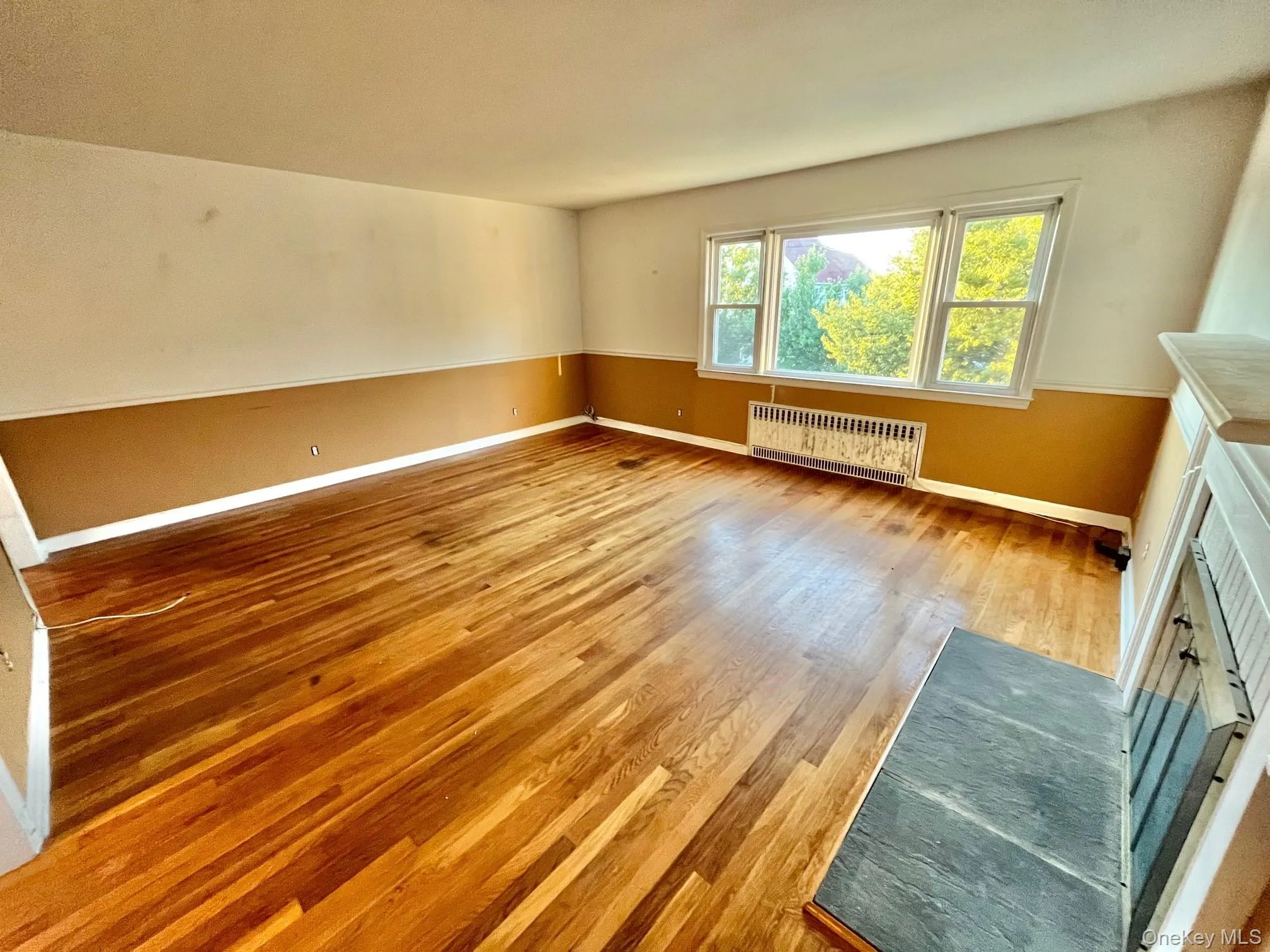 Unfurnished living room with light wood-type flooring and radiator heating unit Unfurnished living room with light wood-type flooring and radiator heating unit