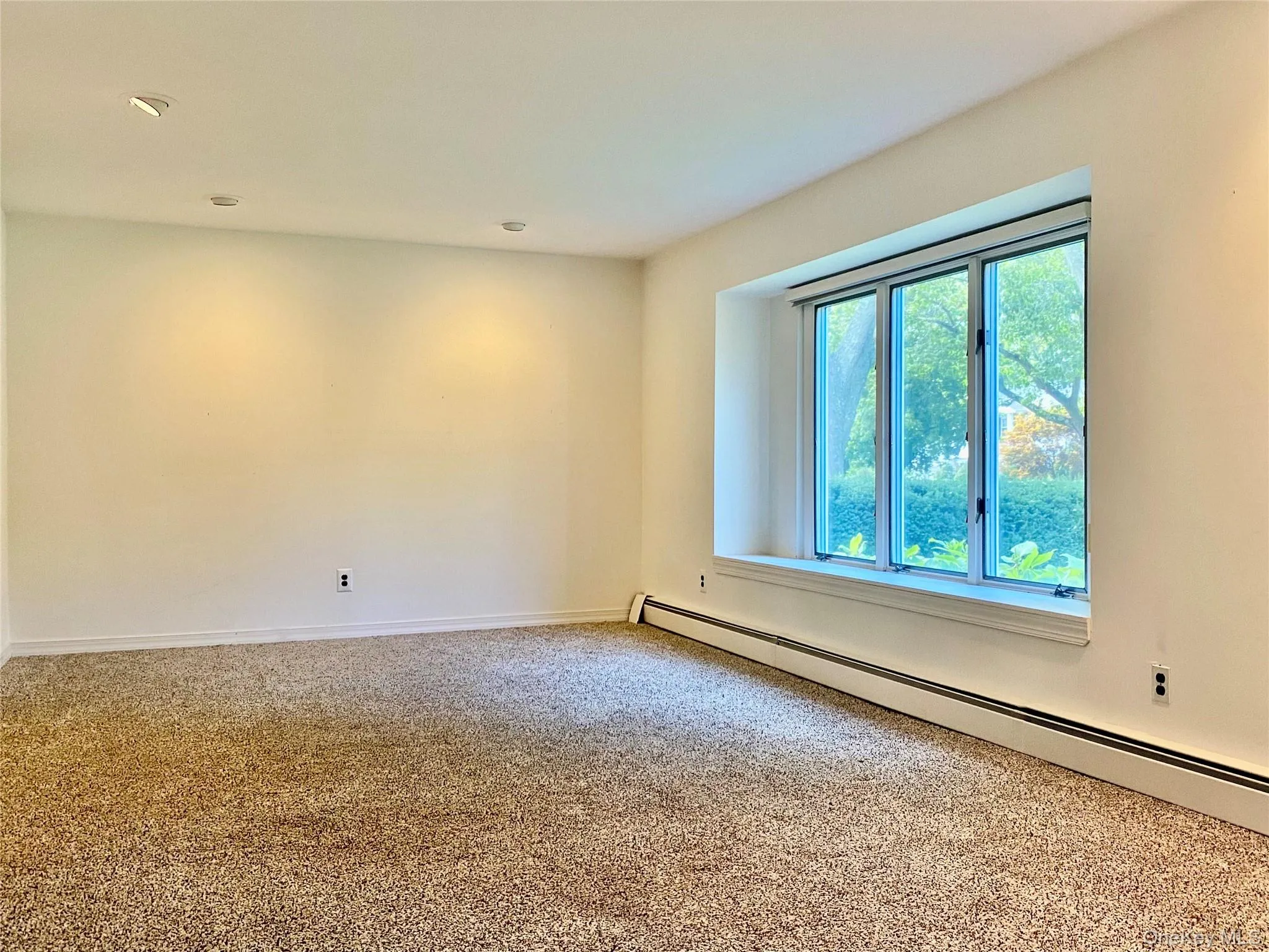 Carpeted empty room featuring baseboard heating and baseboards Carpeted empty room featuring baseboard heating and baseboards