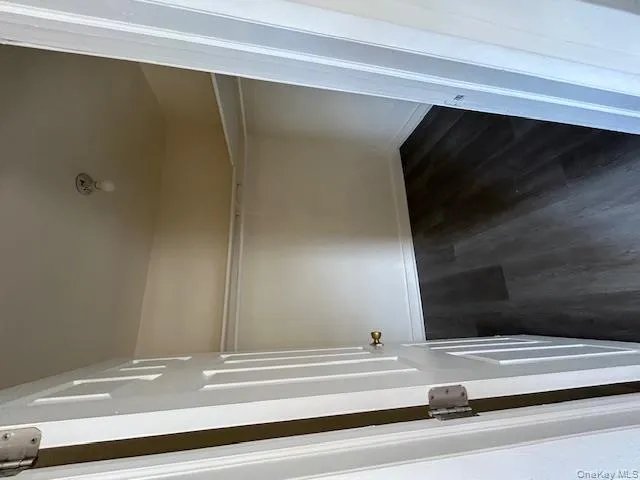 Spacious closet with dark wood finished floors Spacious closet with dark wood finished floors