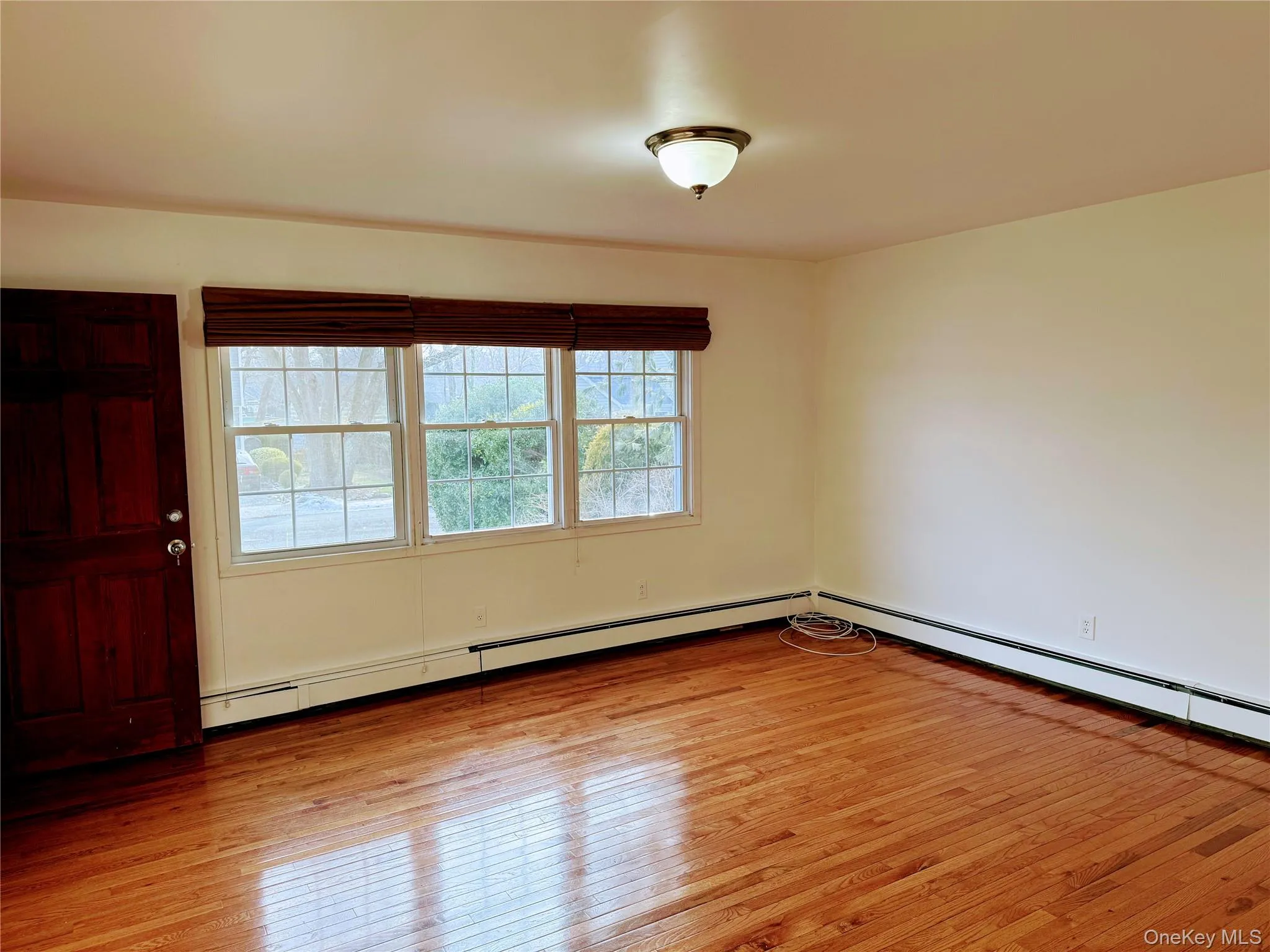 Living Room Window View with baseboard heating Living Room Window View with baseboard heating