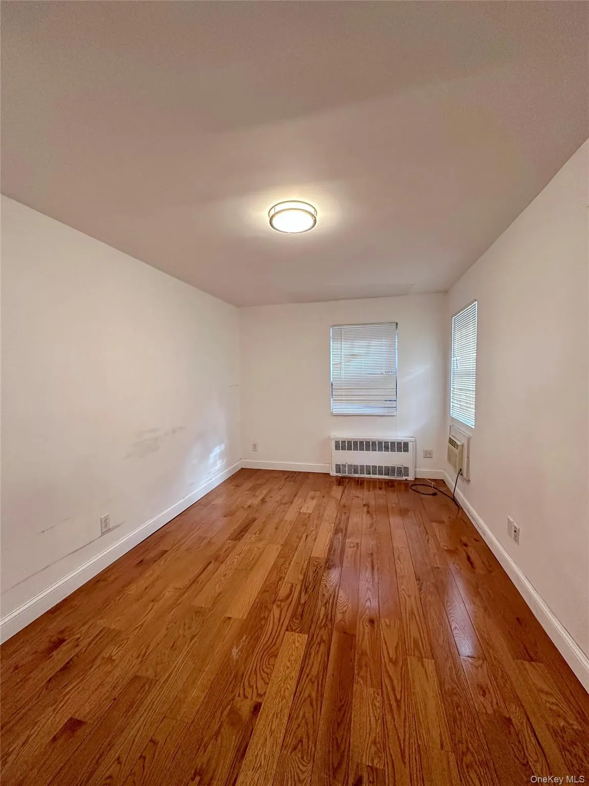 Spare room featuring light wood-style flooring and radiator Spare room featuring light wood-style flooring and radiator