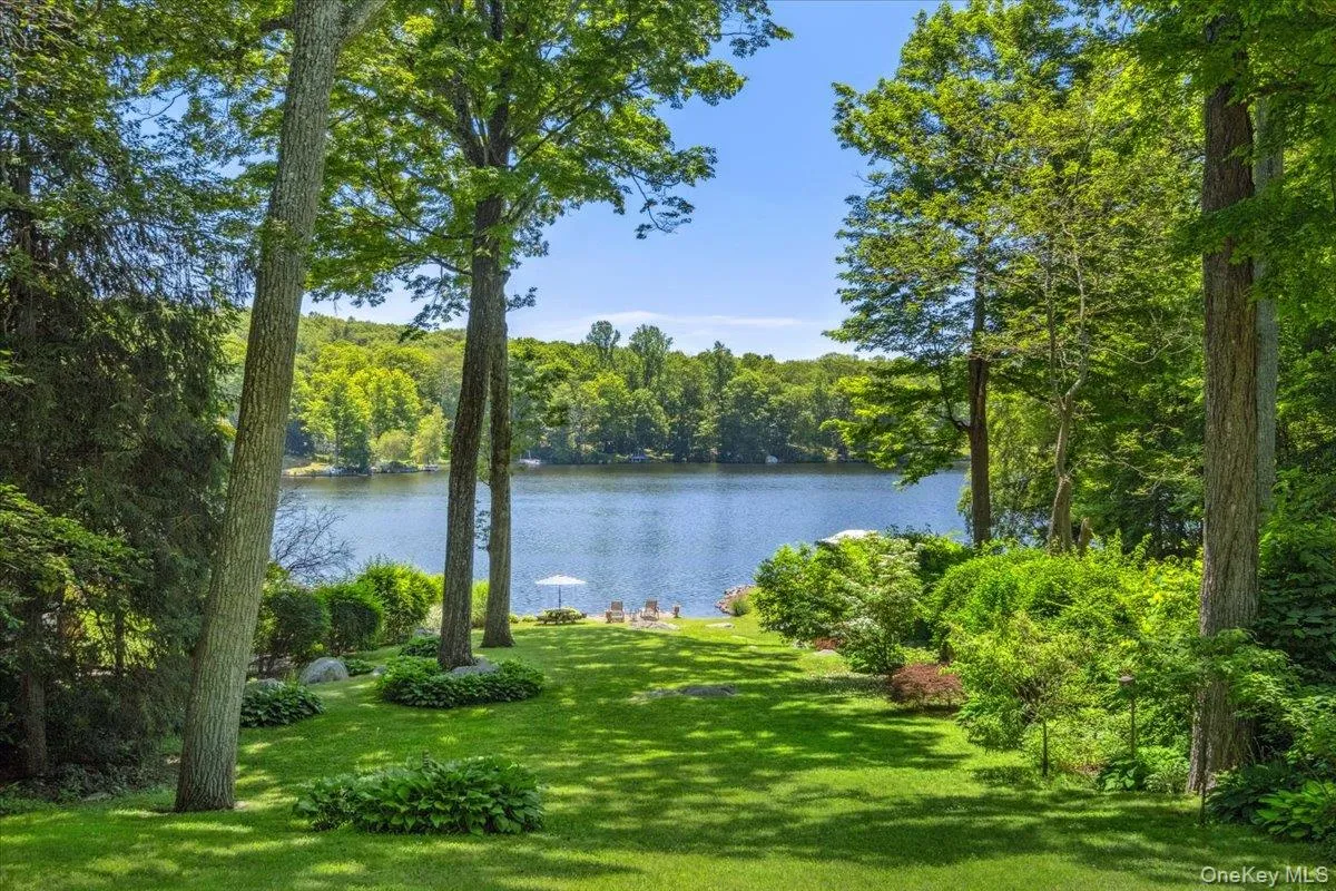 Water view with a forest Water view with a forest