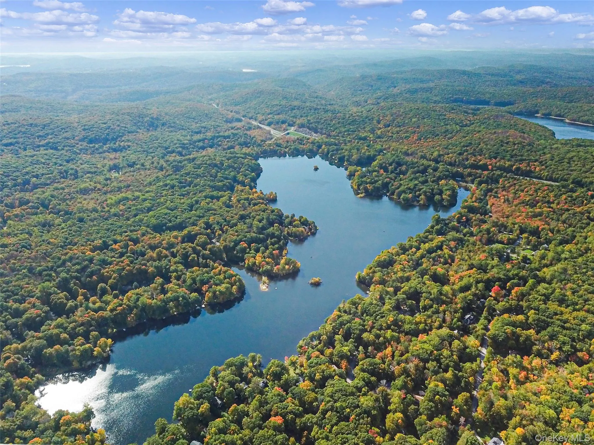 Drone / aerial view of a forest and a large body of water Drone / aerial view of a forest and a large body of water